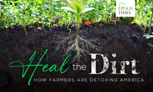 Heal the Dirt: How Farmers Are Detoxing America