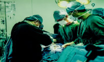 Forced Organ Harvesting Gets Spotlight in Congress