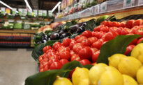 RBA Forecasts Inflation to Peak at 4.8 percent in June Quarter
