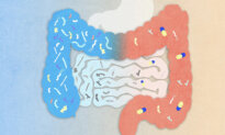 Modern Meds Changed the Gut Profile of Remote Villagers, Scientists Find