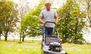What Are the Most Overlooked Yard Maintenance Tasks?