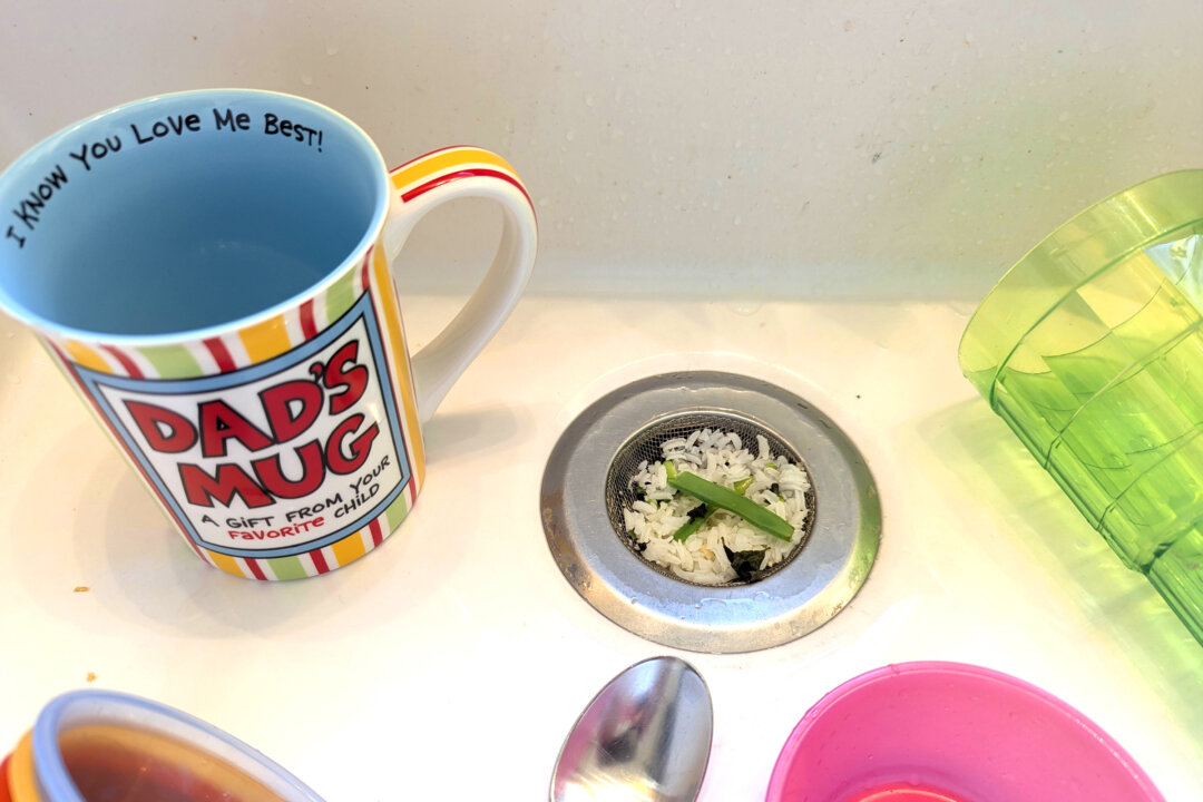 Ask the Builder: Prevent Clogged Drains and Nasty Flies