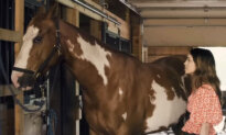 ‘Joy of Horses’: Grief, Love, and Recovery in Horse Country
