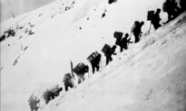 Bubble-Wrapped World: How Safety Culture Has Destroyed Our Sense of Adventure