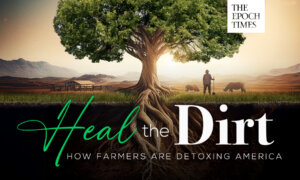 Heal the Dirt: How Farmers Are Detoxing America