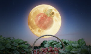 June’s ‘Strawberry Moon’ Will Signal Summer Warmth After Spring Cold Snaps—What to Know