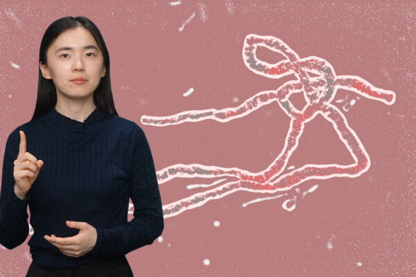 The Main Facts About the Ebola Virus