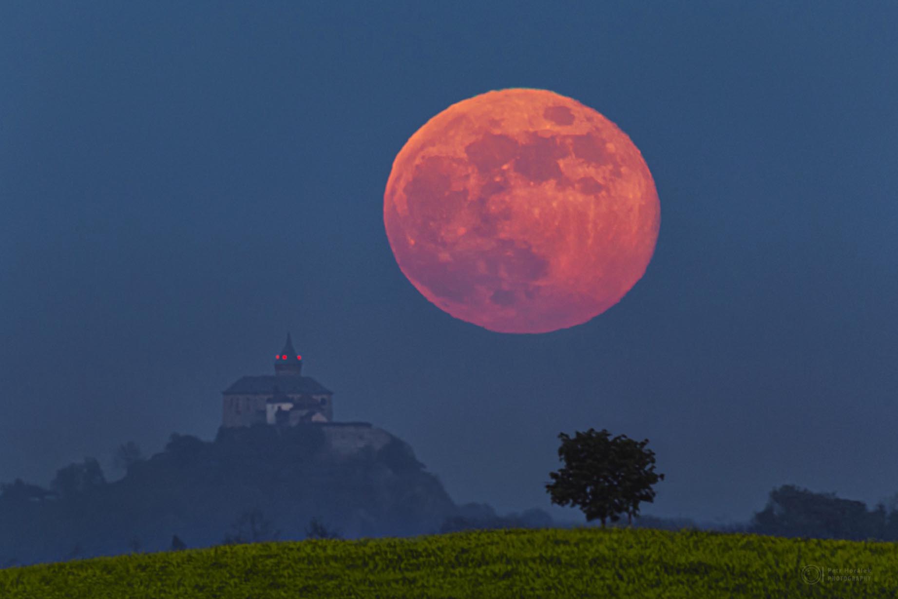 Epoch Times Photo