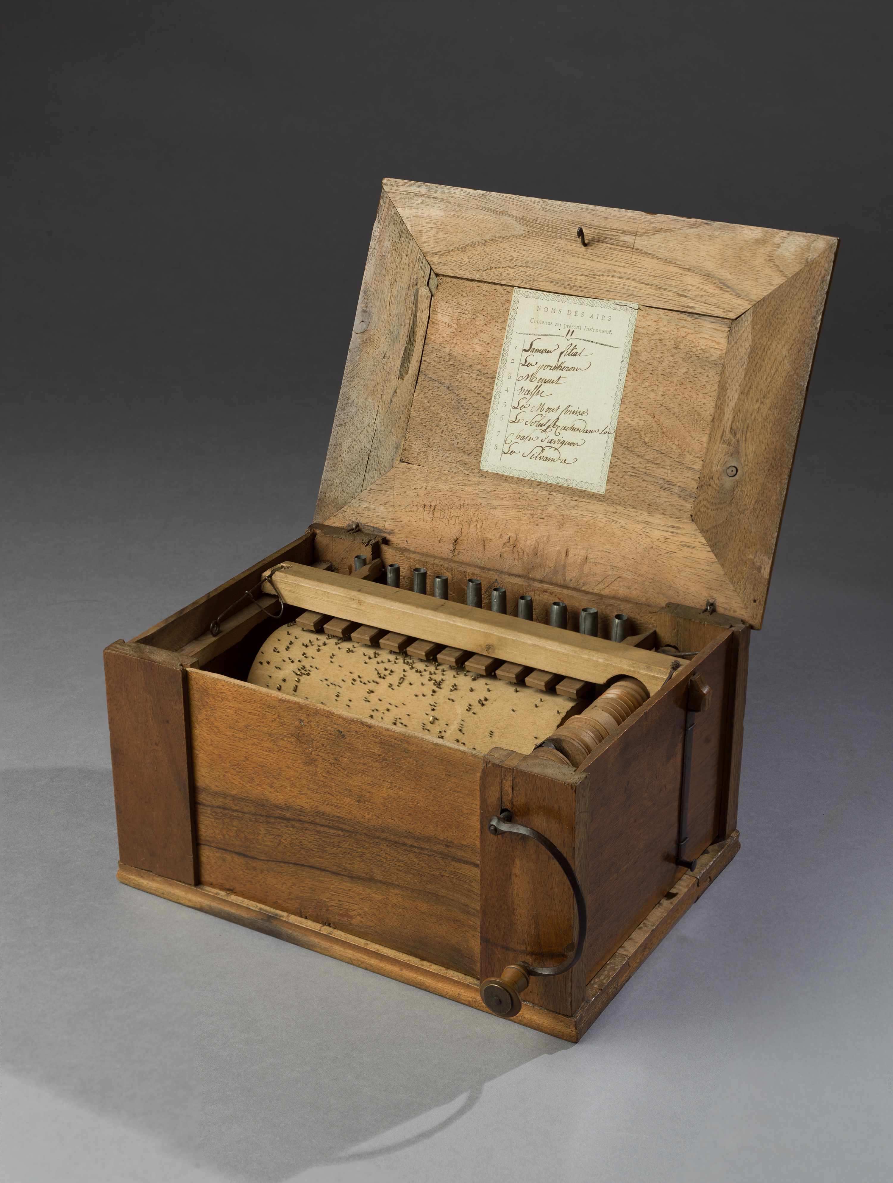 Organ, for teaching birds to sing