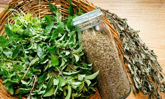 Peppermint–the Garden Herb for Mental Clarity
