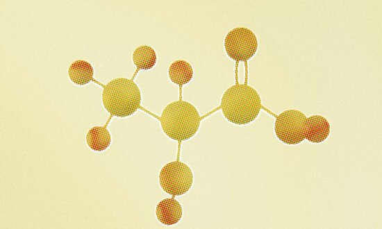 Lactate Is the New Ketone: How It Fuels the Brain