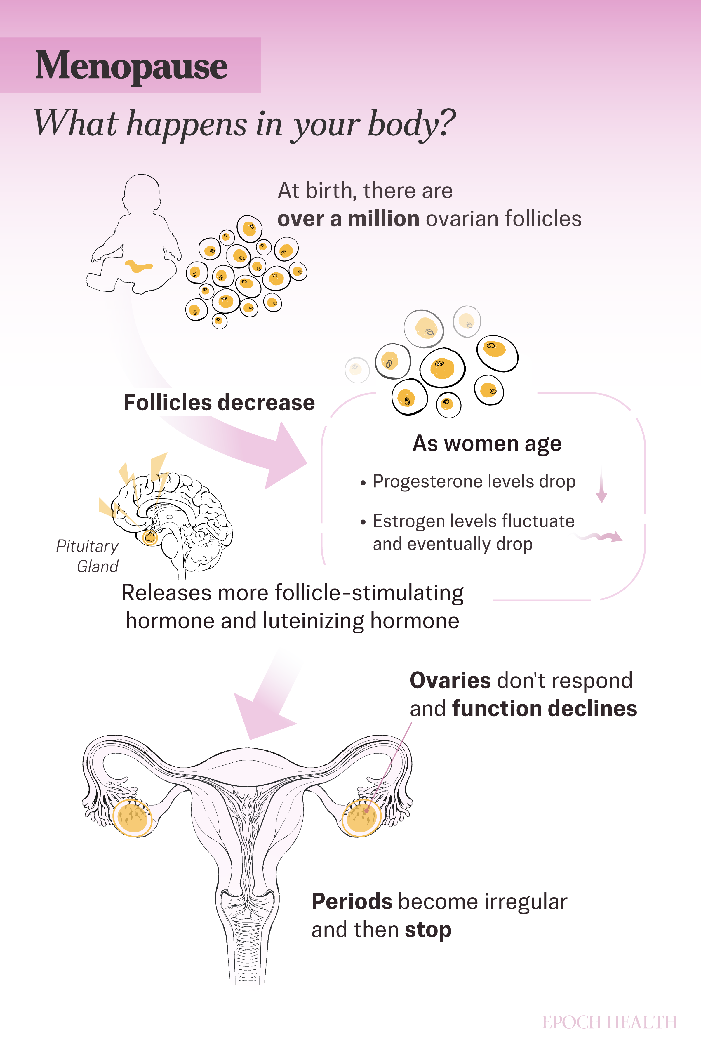 Menopause_infographic