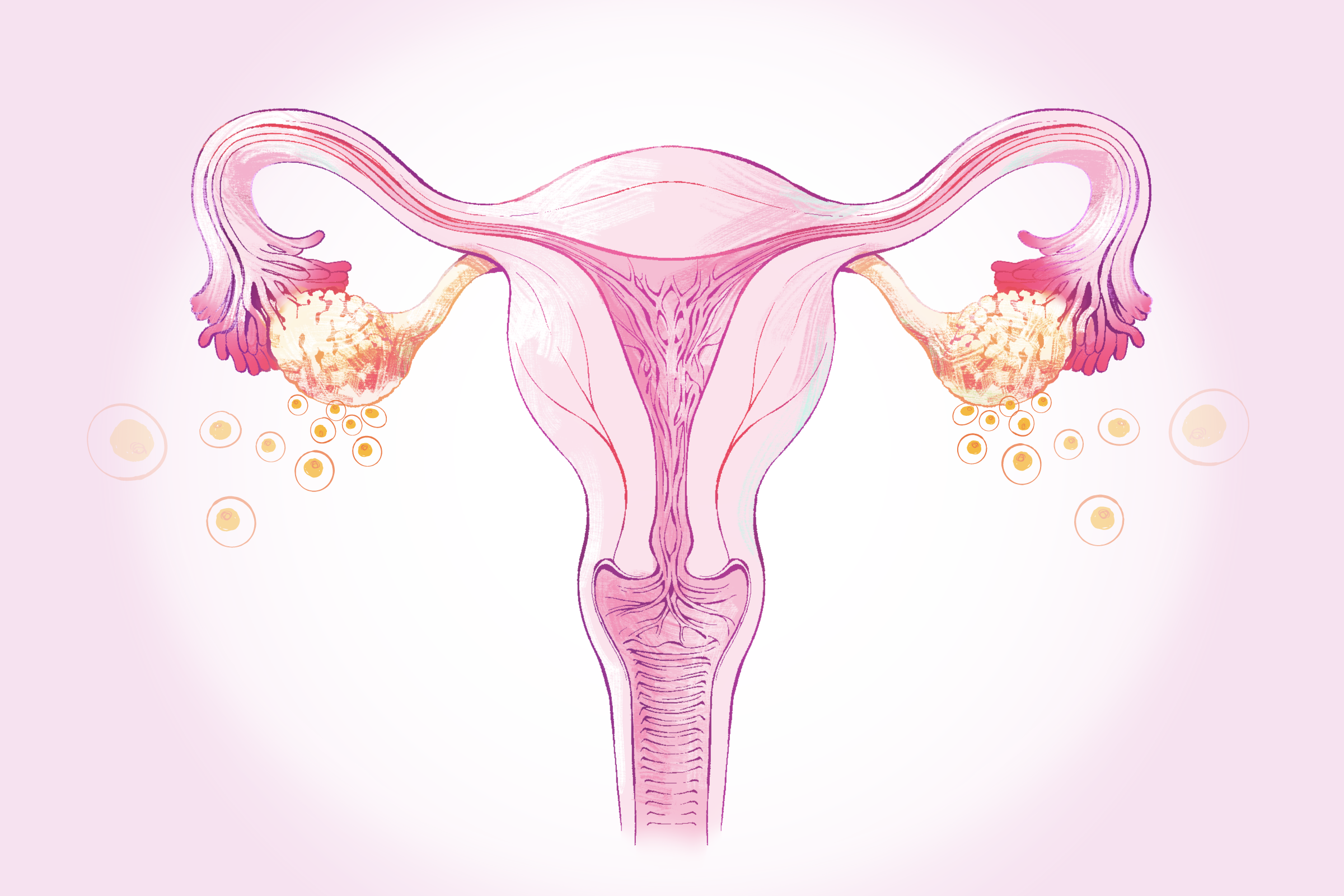 Menopause: A Natural Phase Every Woman Experiences After 45–Here Are the Common Relief Methods