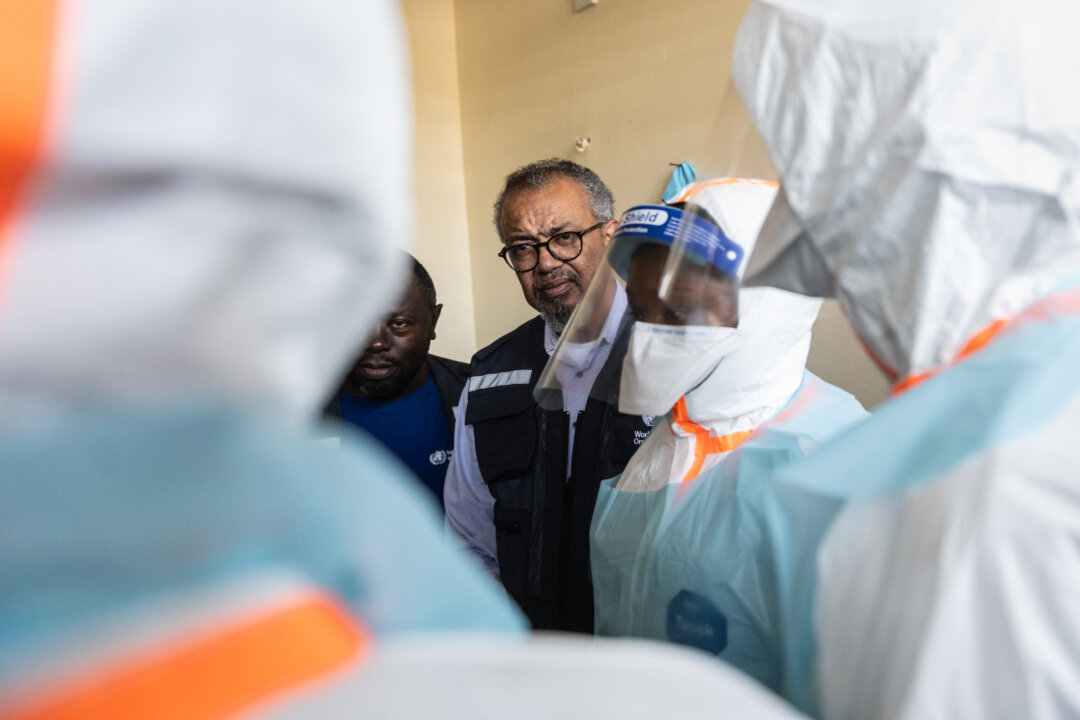 Cover image for WHO Reports Recoveries From Rare Ebola Strain in Congo