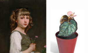 ‘A Treasured History: The Stream Family Collection’ at Christie’s New York