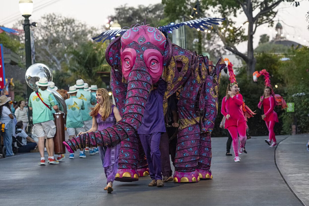For Decades, San Diego’s Nighttime Zoo Has Been a Summer Staple. This Is the Last Year