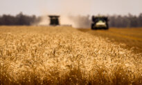 Australia’s Winter Crop Output Forecast to Fall 21 Percent Amid Middle East Conflict