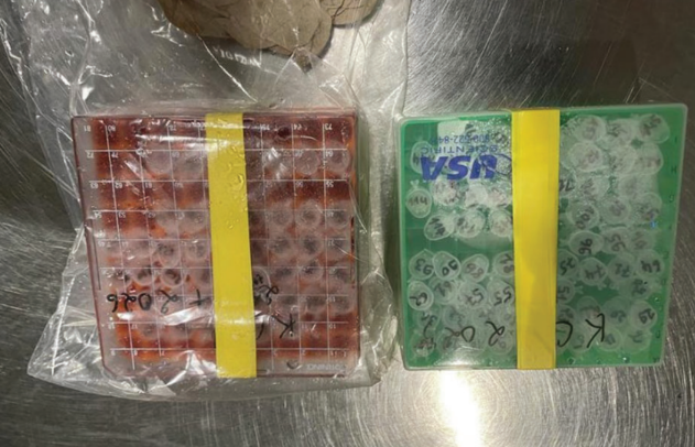 vials