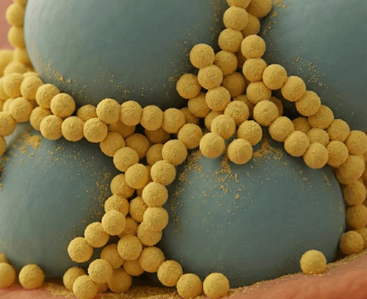 Sifts is designed to interact with microplastics during digestion, support natural elimination of microplastics, and fit easily into a daily routine.