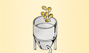 Processing, Not Just Ingredients, May Be Driving the Health Risks of UPFs