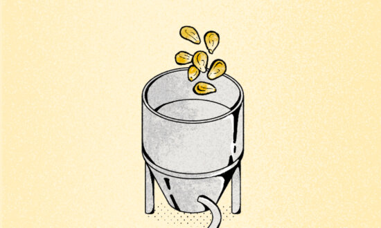 Processing, Not Just Ingredients, May Be Driving the Health Risks of UPFs