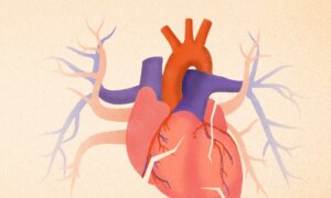 What Standard Cardiac Testing Fails to Capture