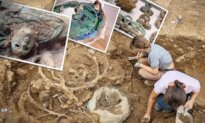Metal Detectorist Finds 2,000-Year-Old Chariot Wheels and Ritual Weapons in Yorkshire Field
