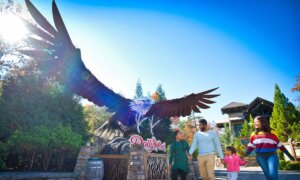 Inside Dollywood’s Summer Season: Iconic Rides and Hidden Gems