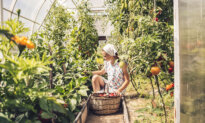 The 10 Laws of Gardening