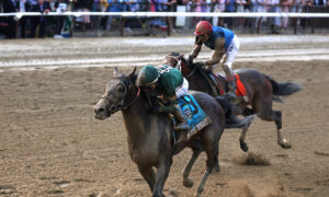 Kentucky Derby Champion Golden Tempo Wins 2026 Belmont Stakes