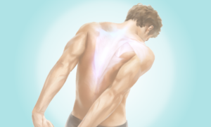 Fascia: The Living, Interconnected Web Behind Movement and Healing–How to Enhance Its Function