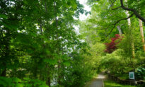 Interior Announces $461 Million for Parks, Playgrounds, Trails