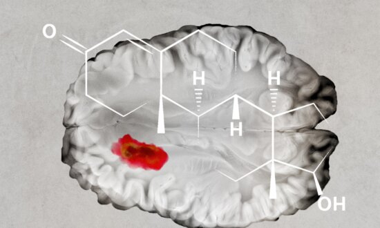 Testosterone May Slow Brain Cancer Growth