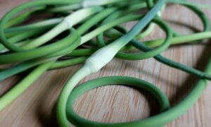 Garlic Scape Pesto: An Advance on Your Fall Harvest