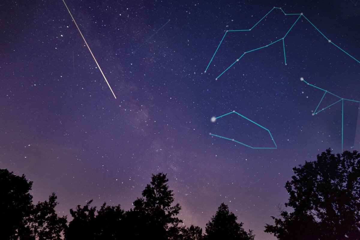 An illustration of the Delta Aquariids.(Shutterstock/Sofoklo)