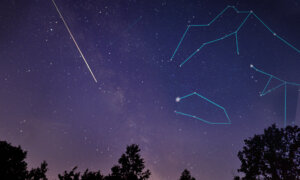 Delta Aquariid Shooting Stars Will Crisscross 3 Other Meteor Showers in July—What to Know