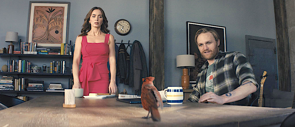 man, woman, and cardinal, at a table, in Disclosure Day