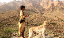 ‘Mountain Boy’: A Boy on His Own in the Desert