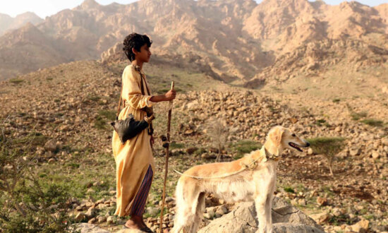 ‘Mountain Boy’: A Boy on His Own in the Desert