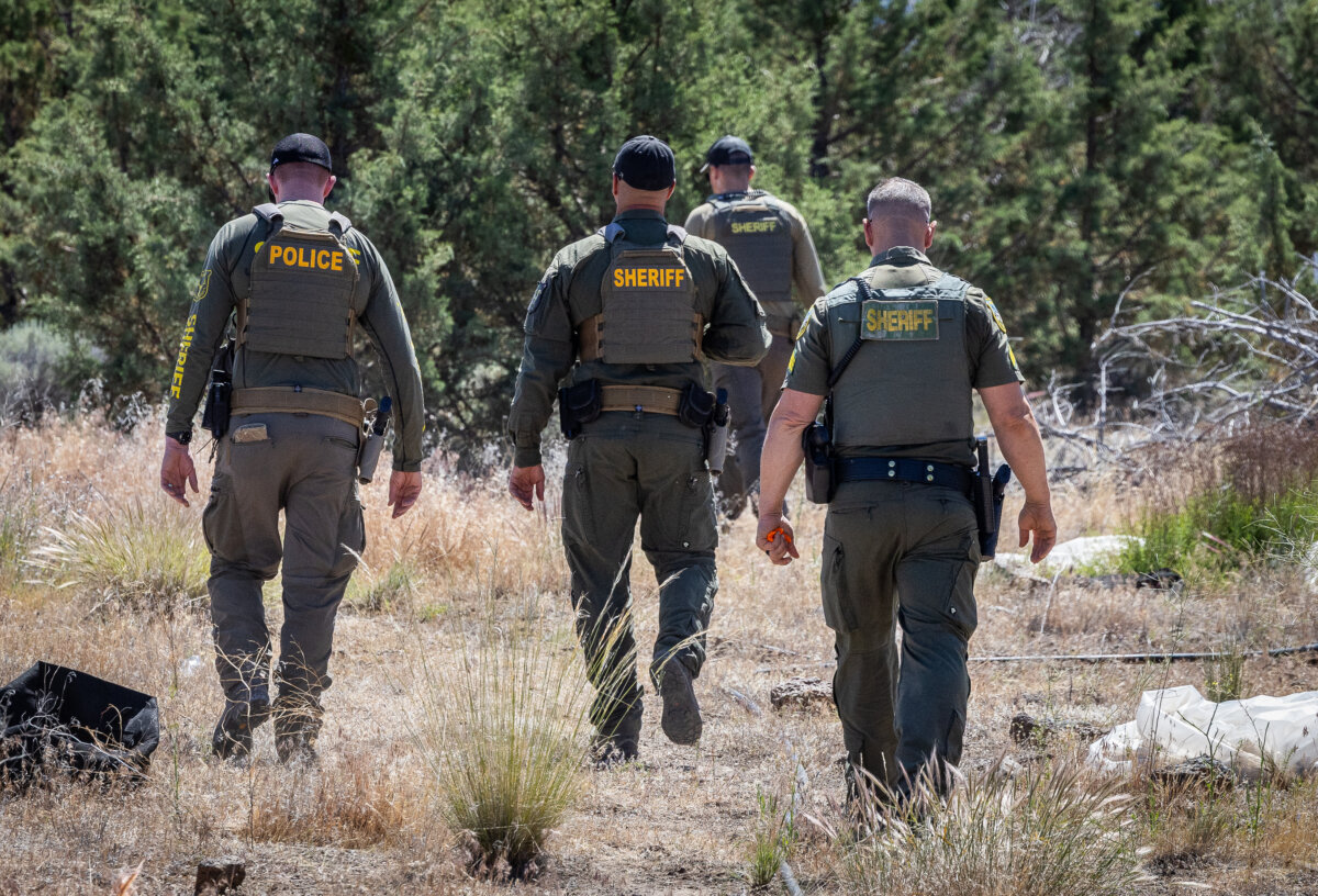 Officers with the Siskiyou County Sheriffs Department participate in an operation against illegal Marijuana farms growing outside of Montague, Calif., on June 4, 2026. (John Fredricks/The Epoch Times)