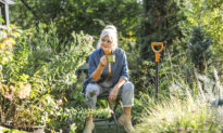 The June Garden Checklist: Tasks to Tackle Now for a Healthier Summer Garden