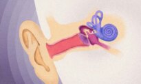 The Real Reason You’re Losing Your Senses–and What to Do About It