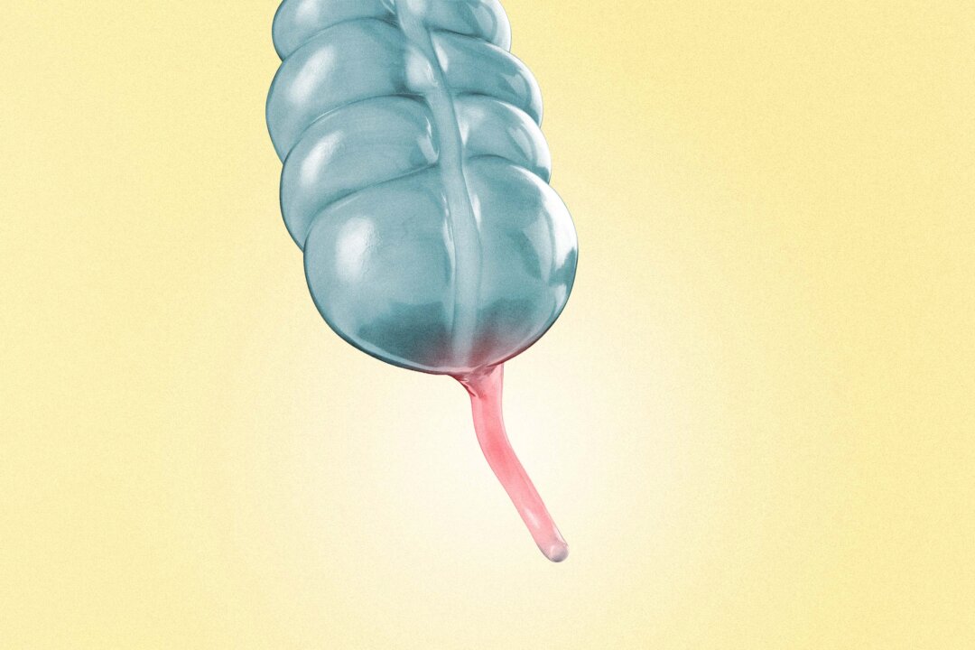 (Illustration by The Epoch Times, Shutterstock)