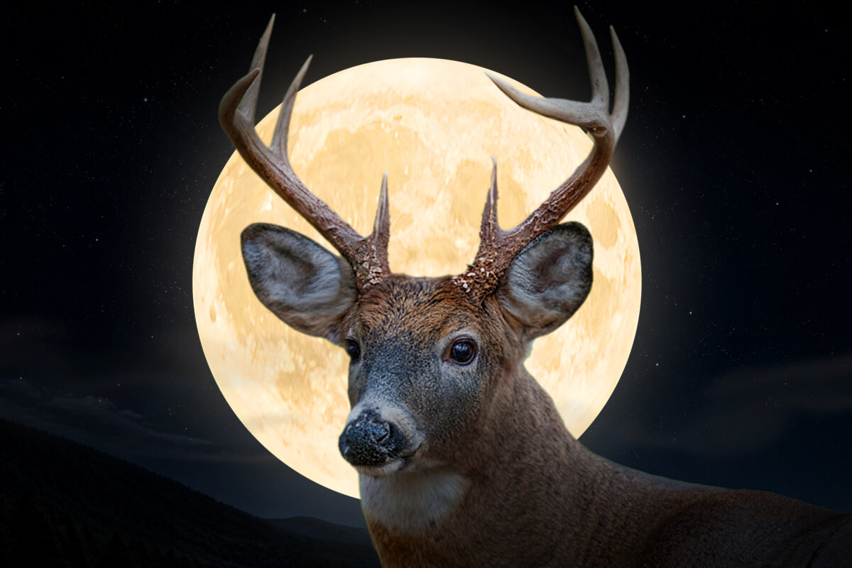 A depiction of the Full "Buck Moon." (The Epoch Times/Shuterstock/Beautiful landscape/Jim Cumming)