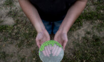 Giant Texas Sterile Fly Facility for Combating Flesh-Eating Screwworm to Open Spring 2027