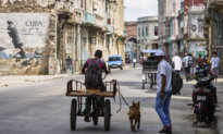 Online Portal for Delivering Goods to Cubans Ceases Operations