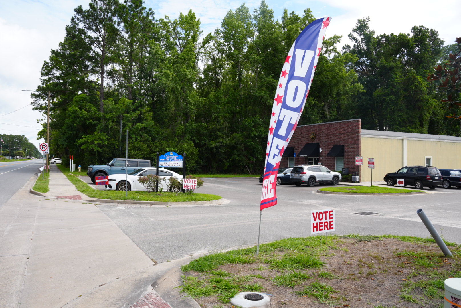 Georgia Runoff Elections