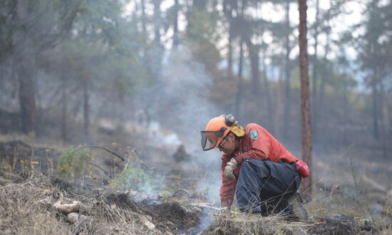 Wildfire Prompts Hurried Evacuations in West Kelowna, BC