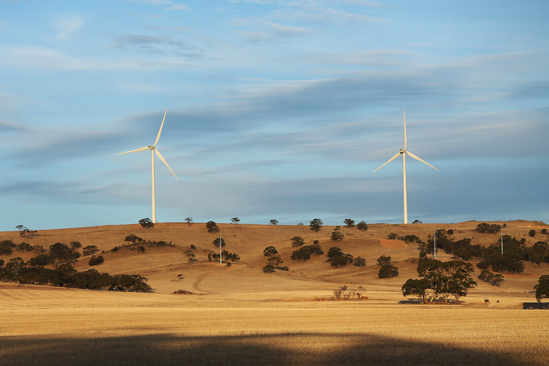 Advocacy Groups Want Data Centres to Fund New Renewables to Boost Energy Security