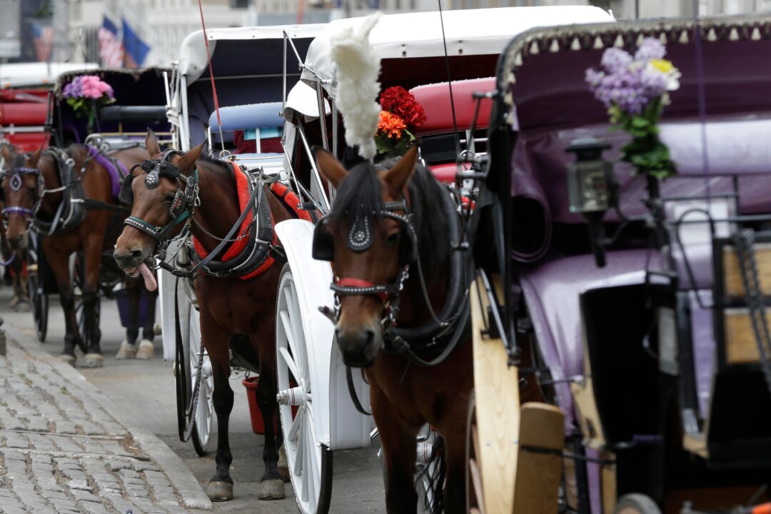 Teenager Dies After Being Thrown From Horse-Drawn Carriage in NYC’s Central Park